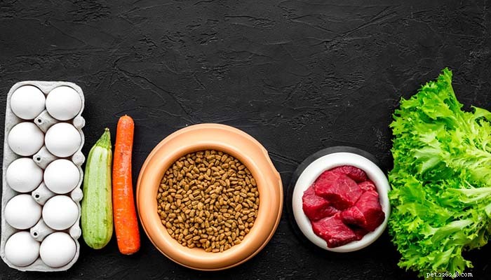 Dog Elimination Diet: A Proven, Science‑Based Guide