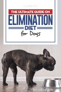 Dog Elimination Diet: A Proven, Science‑Based Guide