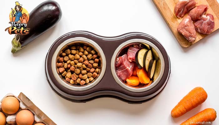 Clean Eating for Dogs: Is It Worth It? A Professional Review