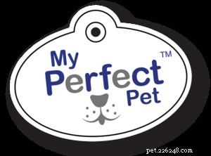 Top 10 Global Homemade Dog Food Delivery Services – Fresh, Nutritious Meals Delivered