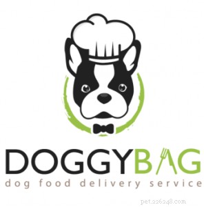 Top 10 Global Homemade Dog Food Delivery Services – Fresh, Nutritious Meals Delivered