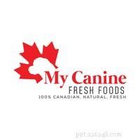 Top 10 Global Homemade Dog Food Delivery Services – Fresh, Nutritious Meals Delivered