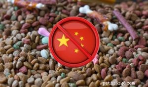 Limited Ingredient Dog Food Explained: When It’s Right for Your Pet