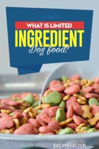 Limited Ingredient Dog Food Explained: When It’s Right for Your Pet