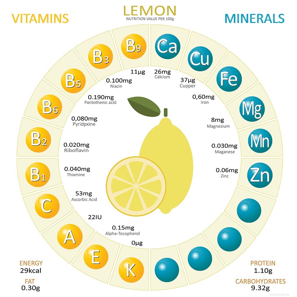 Are Lemons Safe for Dogs? Understanding the Risks and Benefits