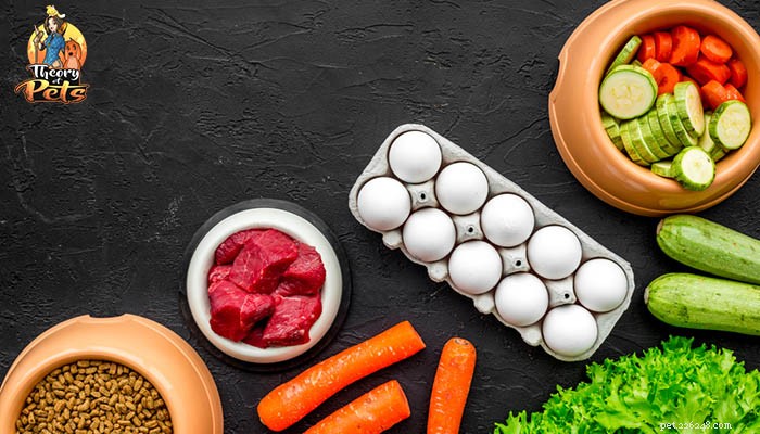 TOP #56: The Clear Benefits of Fresh Dog Food Over Kibble