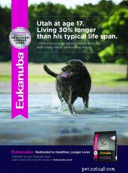 19 Key Pet Food Industry Controversies – An Insightful Infographic