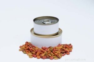 Decoding Dog Food: Know Exactly What Your Pet Eats