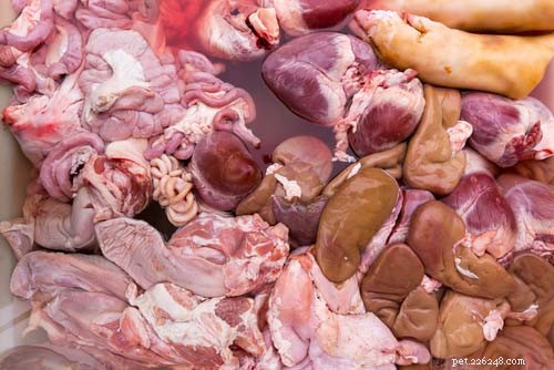 Decoding Dog Food: Know Exactly What Your Pet Eats