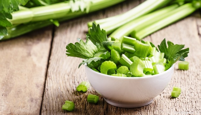 Top 6 Science‑Backed Vegetables for Your Dog’s Health