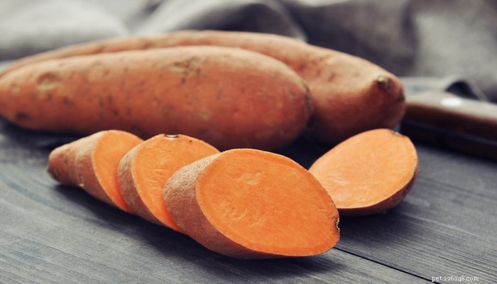 Top 6 Science‑Backed Vegetables for Your Dog’s Health
