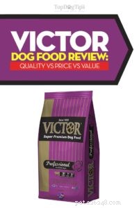 Victor Dog Food Review: 22 Recipes Compared for the Best Nutrition