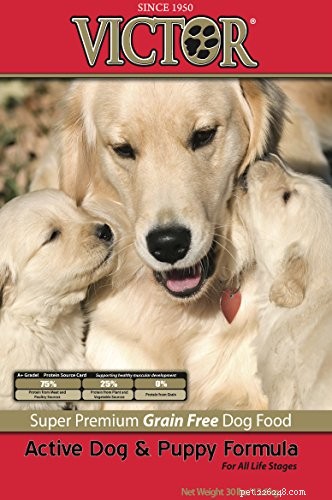 Victor Dog Food Review: 22 Recipes Compared for the Best Nutrition