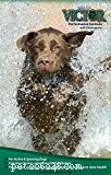 Victor Dog Food Review: 22 Recipes Compared for the Best Nutrition