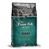 Victor Dog Food Review: 22 Recipes Compared for the Best Nutrition