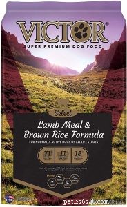Victor Dog Food Review: 22 Recipes Compared for the Best Nutrition