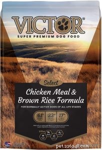 Victor Dog Food Review: 22 Recipes Compared for the Best Nutrition