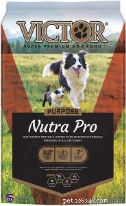 Victor Dog Food Review: 22 Recipes Compared for the Best Nutrition