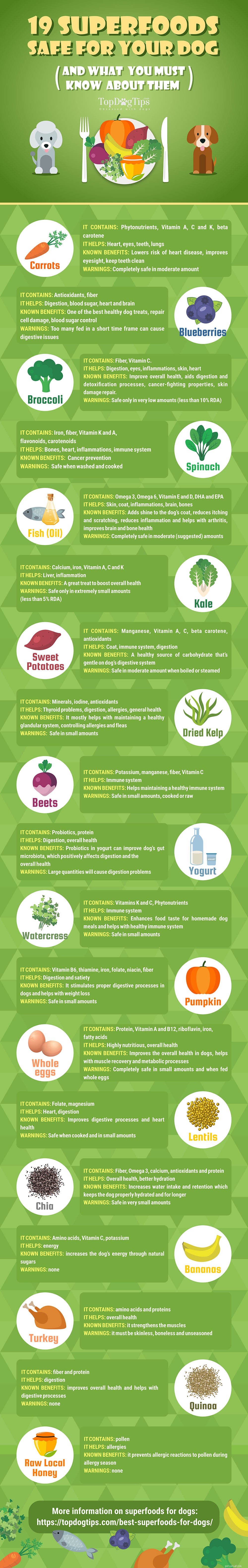 19 Nutritious Superfood Treats for Dogs – Expert Guide