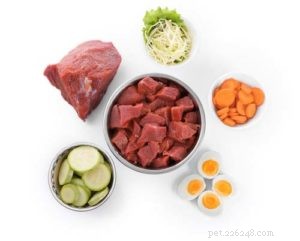 How to Choose the Right Sensitive‑Stomach Dog Food: A Veterinarian’s Expert Guide