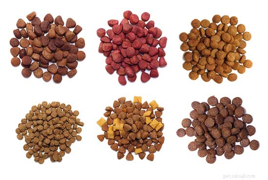 How to Choose the Right Sensitive‑Stomach Dog Food: A Veterinarian’s Expert Guide