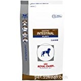 How to Choose the Right Sensitive‑Stomach Dog Food: A Veterinarian’s Expert Guide