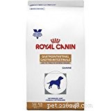 How to Choose the Right Sensitive‑Stomach Dog Food: A Veterinarian’s Expert Guide