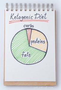 Is the Keto Diet Safe for Dogs? A Vet s Guide to Protein & Pet Health