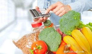 The True Cost of Homemade Dog Food: A Budgeting Guide from My Experience
