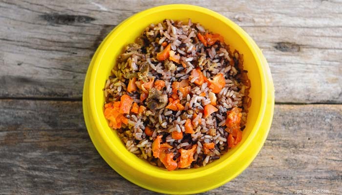 The True Cost of Homemade Dog Food: A Budgeting Guide from My Experience