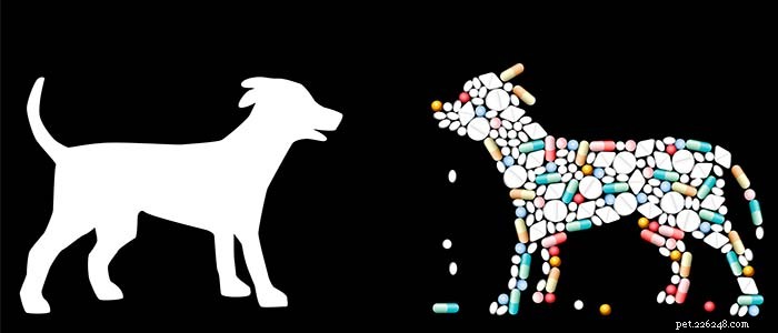 Professional Guide: Choosing Dog Muscle Supplements Safely