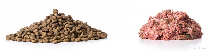 Raw Food Diet Trends: Why More Pet Owners Are Choosing Fresh, High‑Protein Meals for Their Dogs
