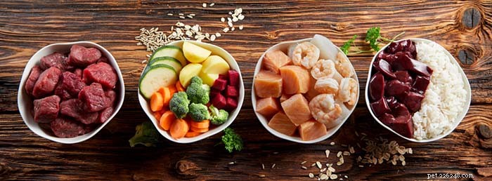Raw Food Diet Trends: Why More Pet Owners Are Choosing Fresh, High‑Protein Meals for Their Dogs