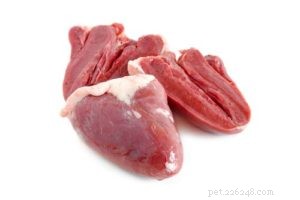 Raw Food Diet Trends: Why More Pet Owners Are Choosing Fresh, High‑Protein Meals for Their Dogs