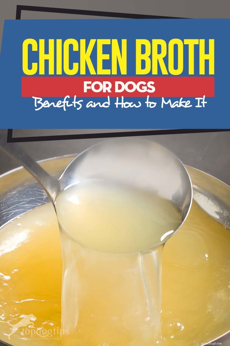 Chicken Broth for Dogs: Health Benefits & DIY Guide
