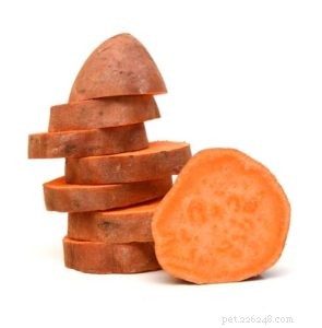 12 Human Foods That Boost Your Dog’s Coat Shine