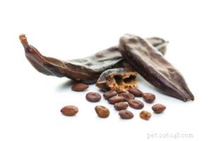 12 Human Foods That Boost Your Dog’s Coat Shine