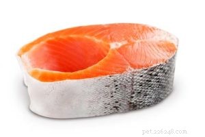 12 Human Foods That Boost Your Dog’s Coat Shine