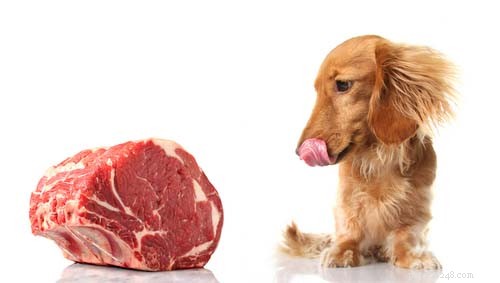 Essential Dog Vitamins: 7 Must-Know Nutrients for Your Canine Health
