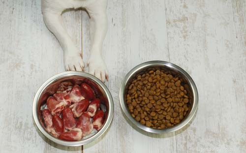 Essential Dog Vitamins: 7 Must-Know Nutrients for Your Canine Health