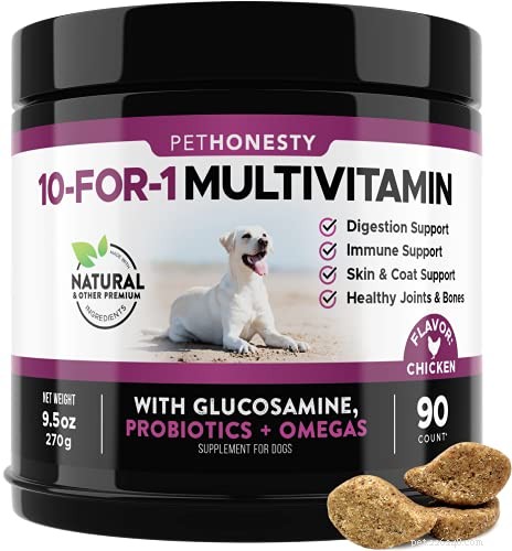 Essential Dog Vitamins: 7 Must-Know Nutrients for Your Canine Health