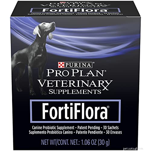 Essential Dog Vitamins: 7 Must-Know Nutrients for Your Canine Health