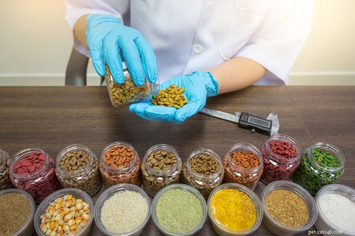 19 Essential Tips for Choosing the Best Dog Food Brand
