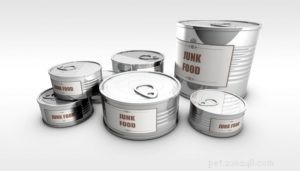 12 Essential Facts About Dog Food Made in China – A Trusted Infographic
