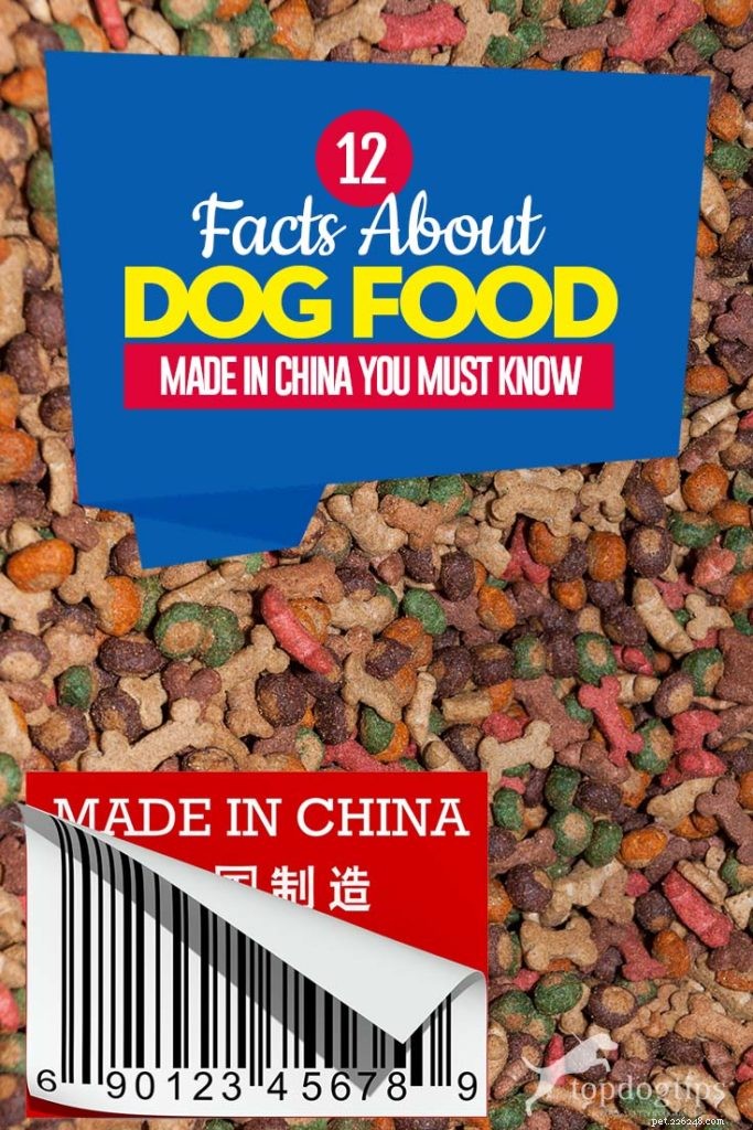 12 Essential Facts About Dog Food Made in China – A Trusted Infographic