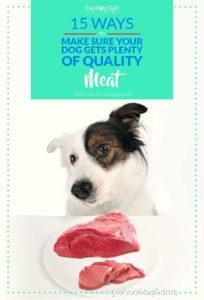 Guarantee Premium Meat for Your Dog: 15 Proven Strategies (Infographic)