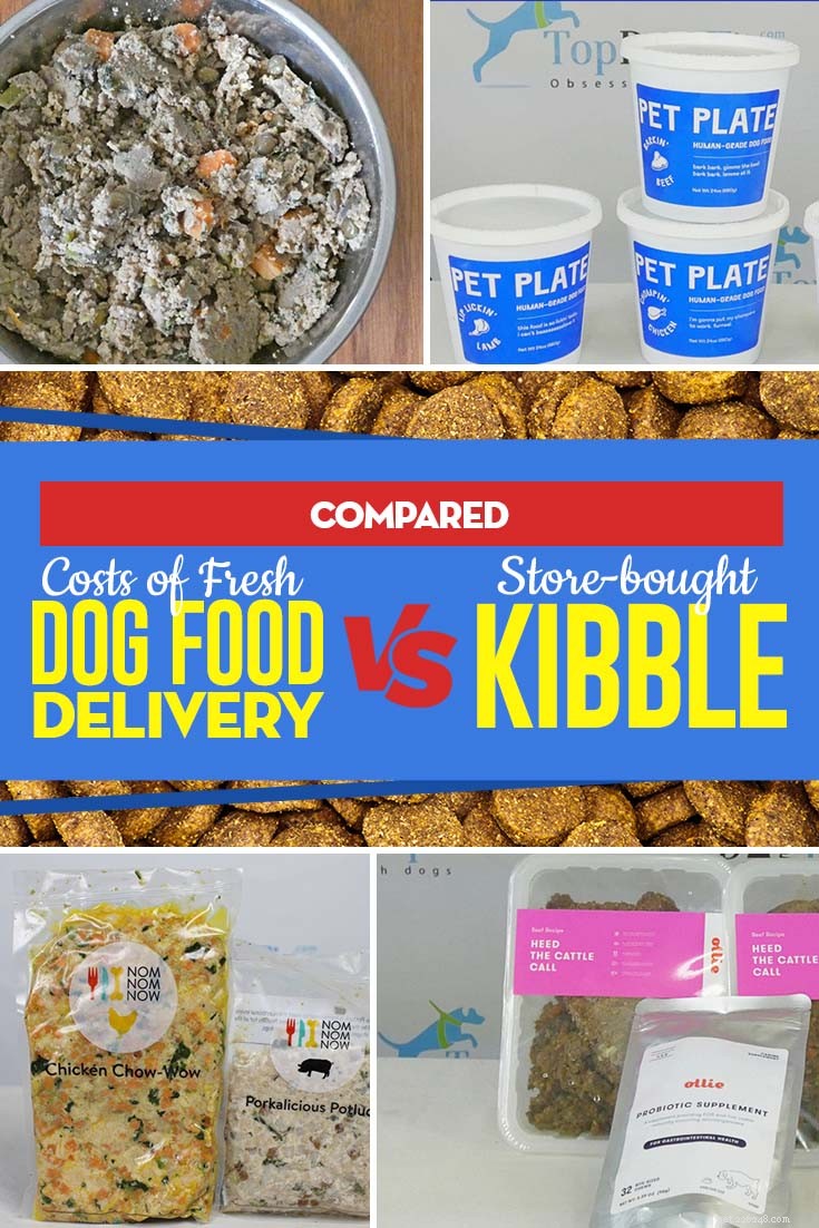 Fresh Dog Food Delivery vs. Store‑Bought Kibble: A Cost Comparison for Budget‑Conscious Owners
