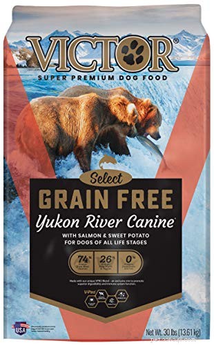 Top 10 Premium Dog Foods for Medium‑Sized Breeds: Balanced Nutrition & Health