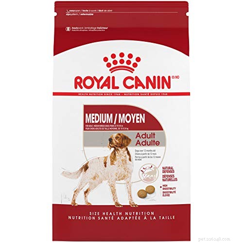 Top 10 Premium Dog Foods for Medium‑Sized Breeds: Balanced Nutrition & Health