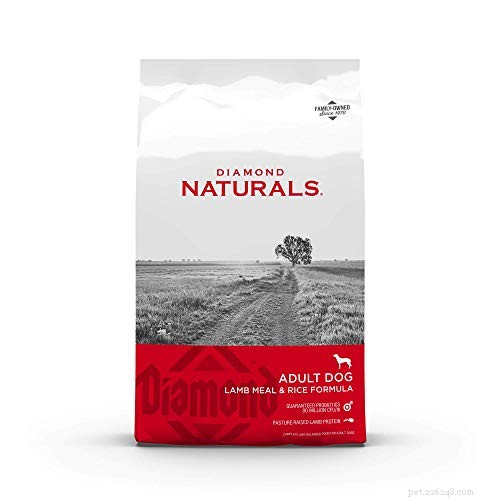 Top 10 Premium Dog Foods for Medium‑Sized Breeds: Balanced Nutrition & Health
